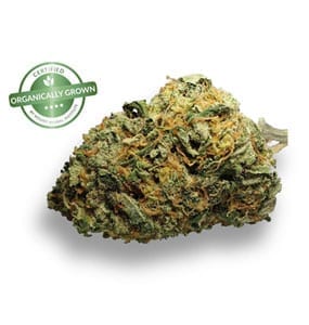 Fruit Spirit Sativa-Dominant