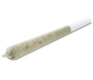 Mango-Haze-Pre-roll-Sativa